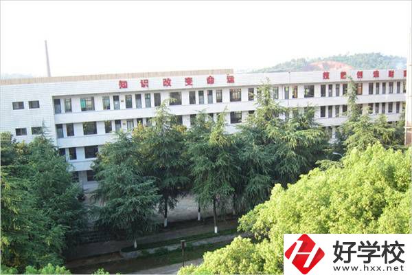 衡陽職高最受歡迎的專業(yè)有哪些？有什么學校推薦？