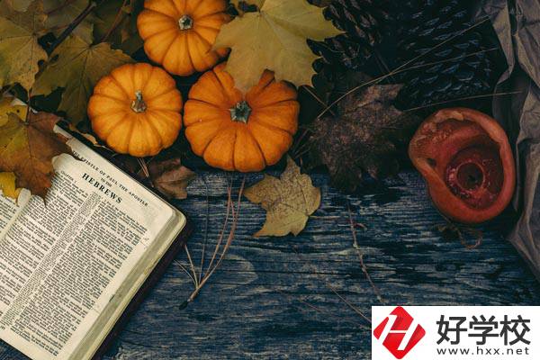 臨湘市職業(yè)中專開(kāi)設(shè)哪些熱門(mén)專業(yè)？有哪些就業(yè)方向？