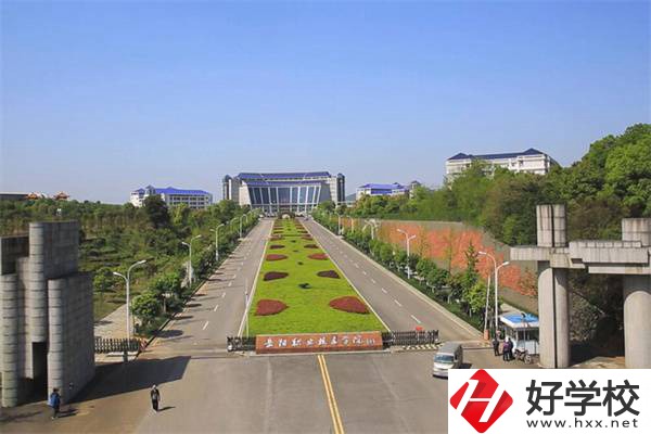 湖南有五年制衛(wèi)校嗎？衛(wèi)校都開設(shè)有哪些醫(yī)衛(wèi)專業(yè)？