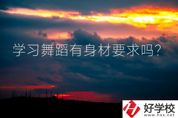 懷化有可以學(xué)習(xí)舞蹈的中專學(xué)校嗎？有身材要求嗎？