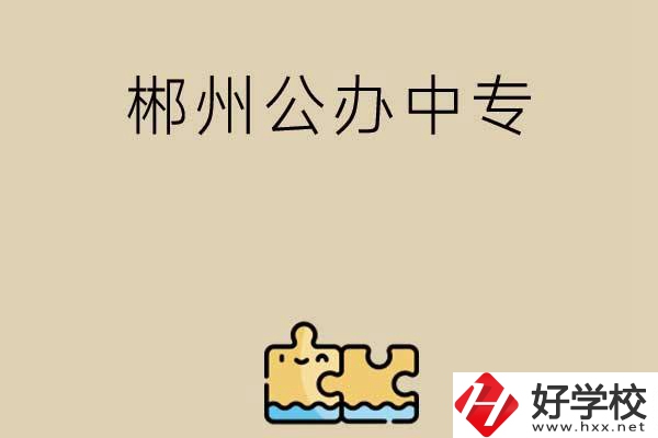 郴州公辦中專有哪些開設了電子商務專業(yè)？
