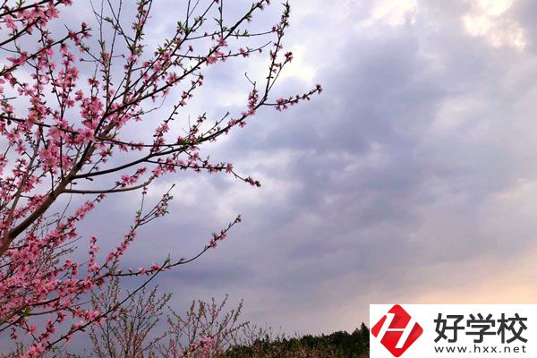 邵陽市瀟湘中等職業(yè)技術學校怎么樣？收費標準如何？