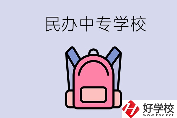 益陽的民辦中專學(xué)校有多少所？辦學(xué)怎么樣？