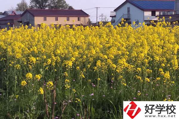 湖南省有哪些比較好的技校？熱門專業(yè)有哪些？