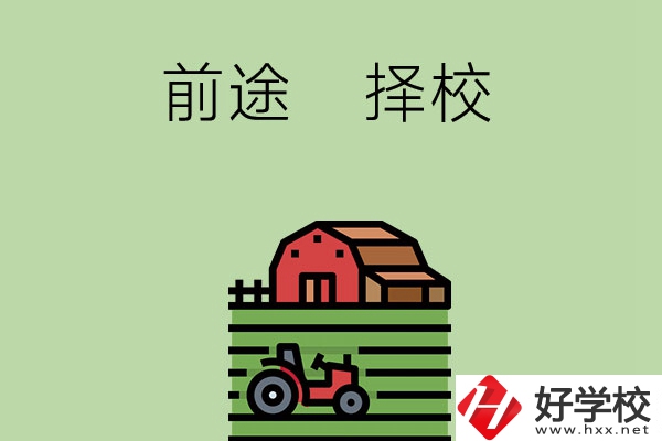 在長沙讀中職學校有前途嗎，如何擇校？