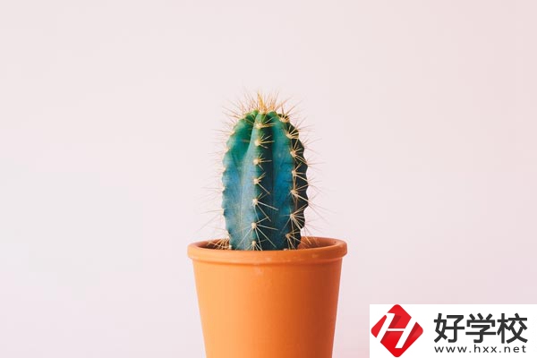 長沙有哪些中職學(xué)?？梢詫W(xué)習(xí)幼師專業(yè)？