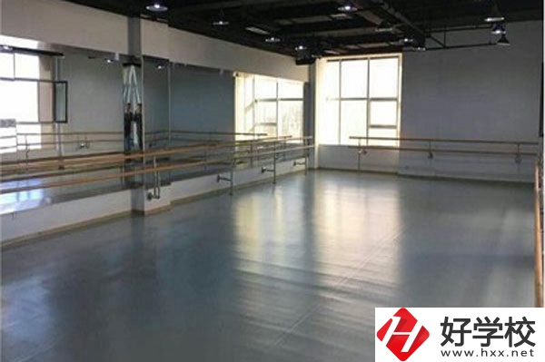 想在衡陽學(xué)藝術(shù)類專業(yè)，看看這所學(xué)校！