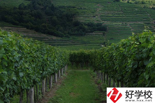中鋼集團(tuán)衡陽(yáng)重機(jī)技工學(xué)校好不好？值得讀嗎？
