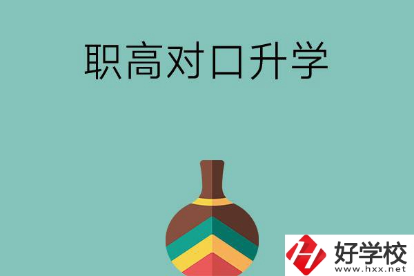 湖南職高對口升學可以考哪些大專？