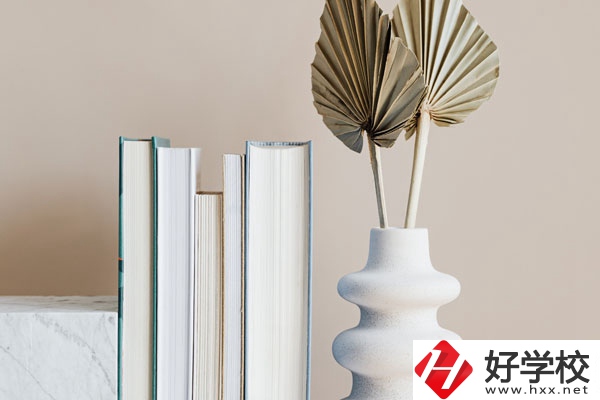 懷化職業(yè)技術(shù)學(xué)院(中職部)好不好，值得選擇嗎？