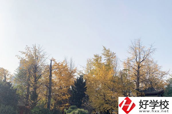 湘潭縣就業(yè)職業(yè)技術(shù)學(xué)校有哪些專業(yè)？就業(yè)前景怎么樣？
