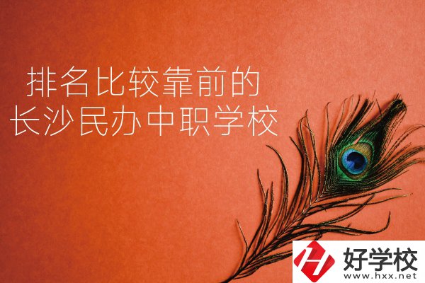 長(zhǎng)沙哪些民辦中職學(xué)校排名比較靠前？