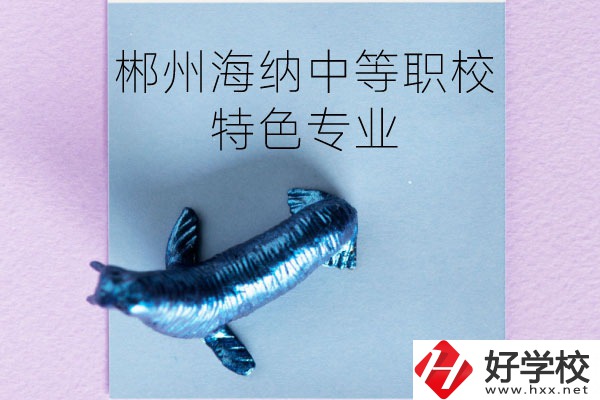 郴州海納中等職業(yè)技術學校有些什么特色專業(yè)？