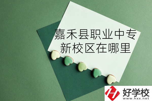 嘉禾縣職業(yè)中專怎么樣？新校區(qū)在哪里？
