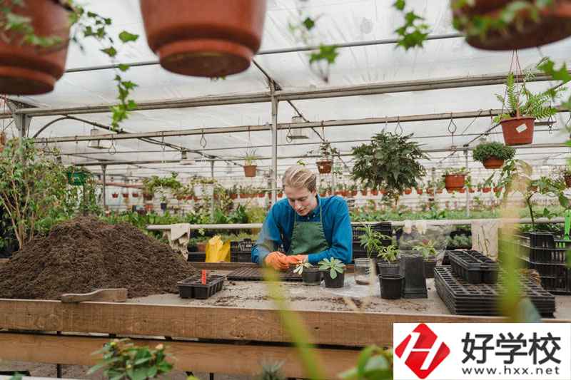 湖南省湘潭縣職校有什么專業(yè)可以選擇？