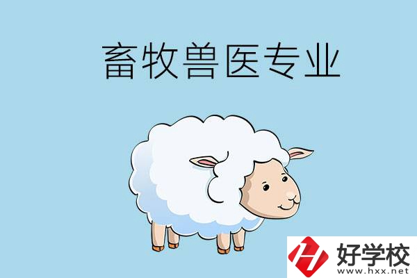 畜牧獸醫(yī)專業(yè)好就業(yè)嗎？湖南哪些技校開(kāi)設(shè)了該專業(yè)？