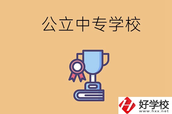 常德的公立中專學校有哪些？有什么特色？