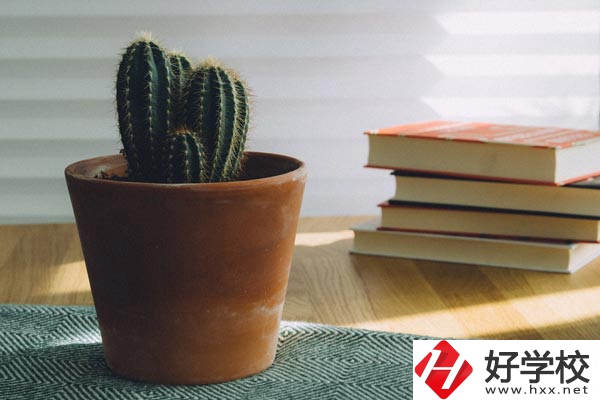桃江縣職業(yè)中專學(xué)校辦學(xué)條件怎么樣？有哪些特色？