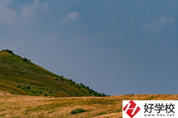 想在常德學動漫設計專業(yè)，有合適的學校嗎？