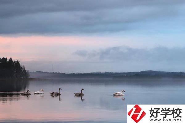 湖南有色金屬中專學校有哪些專業(yè)？就業(yè)方向如何？