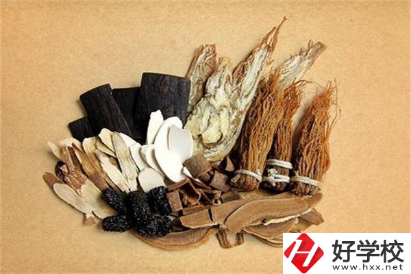 在湘西學(xué)中草藥栽培怎么樣？開設(shè)此專業(yè)的學(xué)校有哪些？