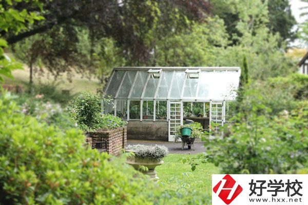 湖南省商業(yè)技師學(xué)院開設(shè)哪些專業(yè)？就業(yè)情況如何？