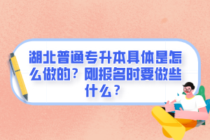 湖北普通專升本具體是怎么做的？剛報(bào)名時(shí)要做些什么？