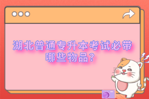 湖北普通專升本考試必帶哪些物品？
