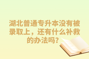 湖北普通專升本沒有被錄取上，還有什么補救的辦法嗎？