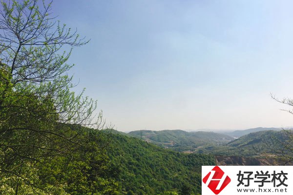 株洲人工智能職業(yè)技術(shù)學(xué)校哪個專業(yè)更好？