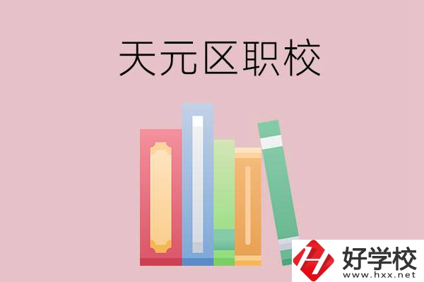 株洲市天元區(qū)的職校有哪幾所？
