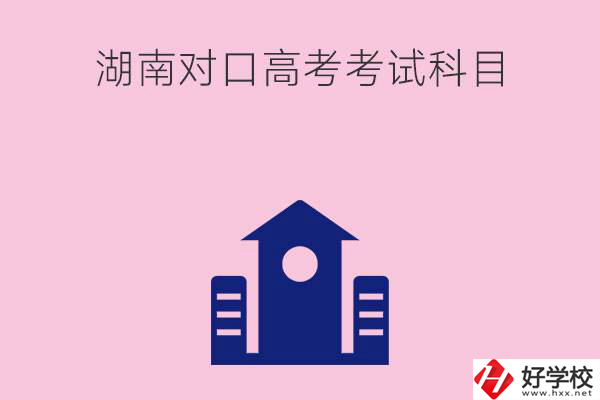 湖南中職生對口高考考試科目都有哪些？考試難不難？