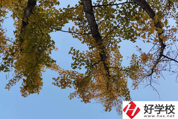 株洲有哪些比較好的中專學(xué)校？