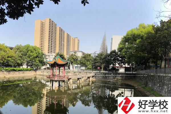 邵陽這些中職學校，質量特別高!