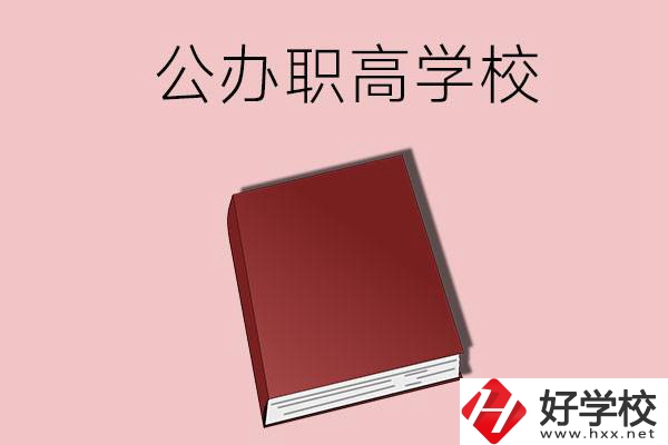 湖南有什么公辦的職高學(xué)校？