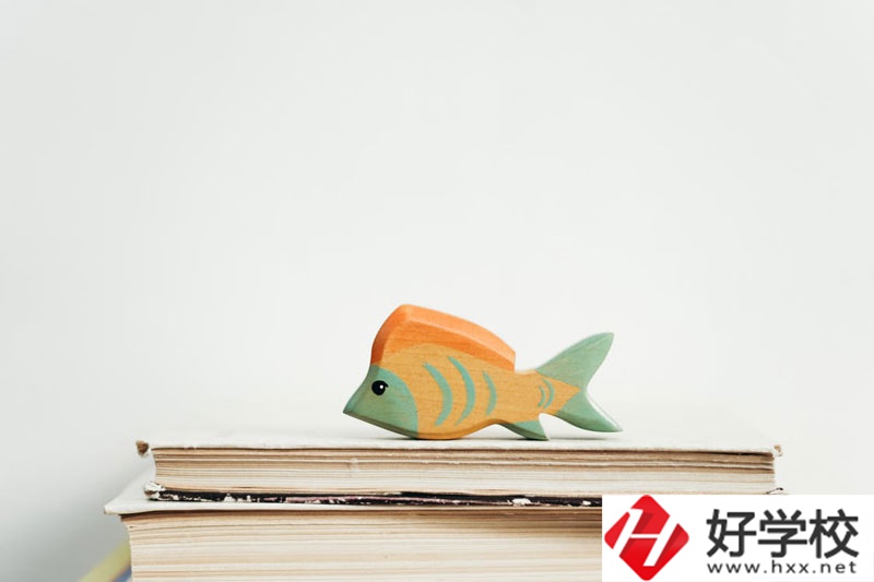 長(zhǎng)沙市英藍(lán)中等職業(yè)學(xué)校學(xué)費(fèi)多少？貴不貴？