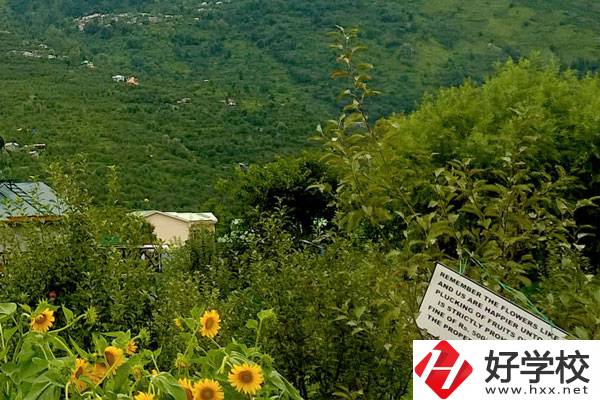 長沙公辦中職學校好不好？都有哪些學校？