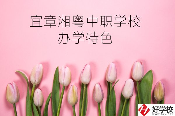 宜章湘粵中職學校在哪？有什么辦學特色？