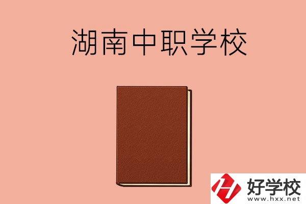 湖南有哪些就業(yè)率比較高的中職學(xué)校？