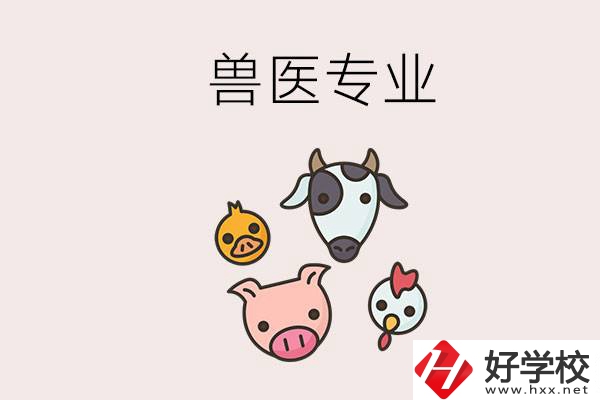 湖南哪些職校能學(xué)獸醫(yī)專業(yè)？學(xué)獸醫(yī)前景怎么樣？