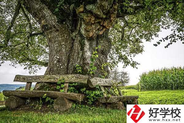 湖南特教中等專業(yè)學校有專業(yè)、資助政策。