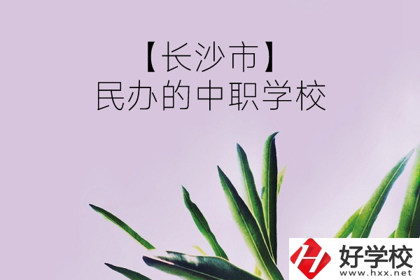 長(zhǎng)沙市有哪些民辦的中職學(xué)校？