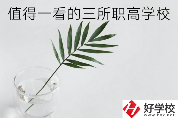 湖南有什么好的職高學(xué)校？這3所學(xué)校值得一看！