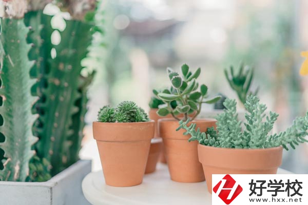 瀏陽市三聯(lián)工業(yè)學(xué)校辦學(xué)條件怎么樣？