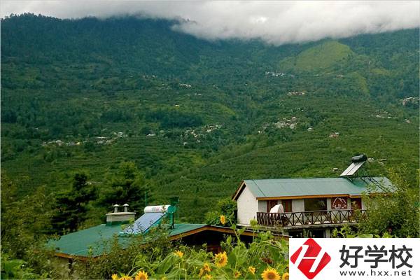 益陽(yáng)大誠(chéng)職業(yè)學(xué)校的專業(yè)怎么樣？就業(yè)方向如何？