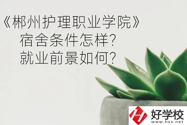 郴州護理職業(yè)學院宿舍條件怎樣？就業(yè)前景如何？
