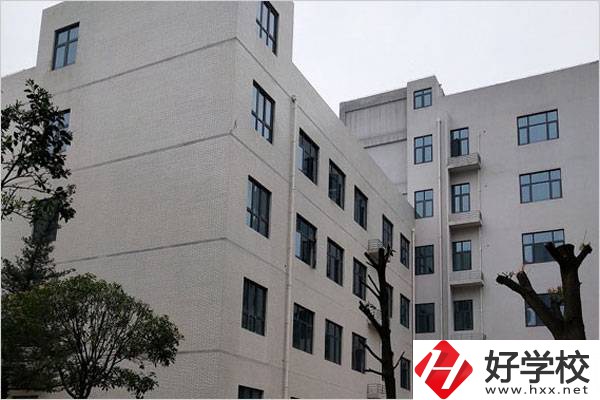 想學(xué)直播電商服務(wù)專業(yè)，湖南有哪些合適的學(xué)校？