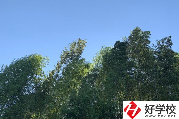 張家界協(xié)力技工學校好不好？就業(yè)前景怎么樣？