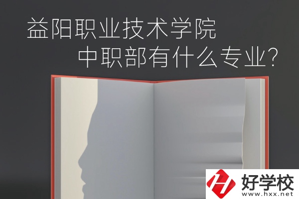 益陽職業(yè)技術(shù)學(xué)院中職部有什么專業(yè)？