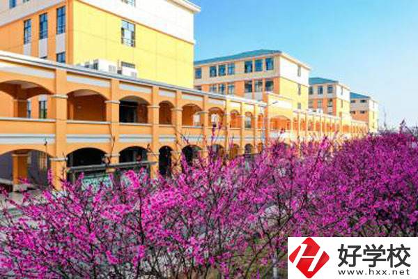 湖南省隆回職業(yè)中等專業(yè)學校有哪些辦學特色？